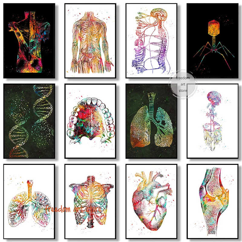 Muscles Back Brain Nervous System Bones and Muscles Heart Art Posters Canvas Painting Wall Prints Pictures for Clinic Home Decor