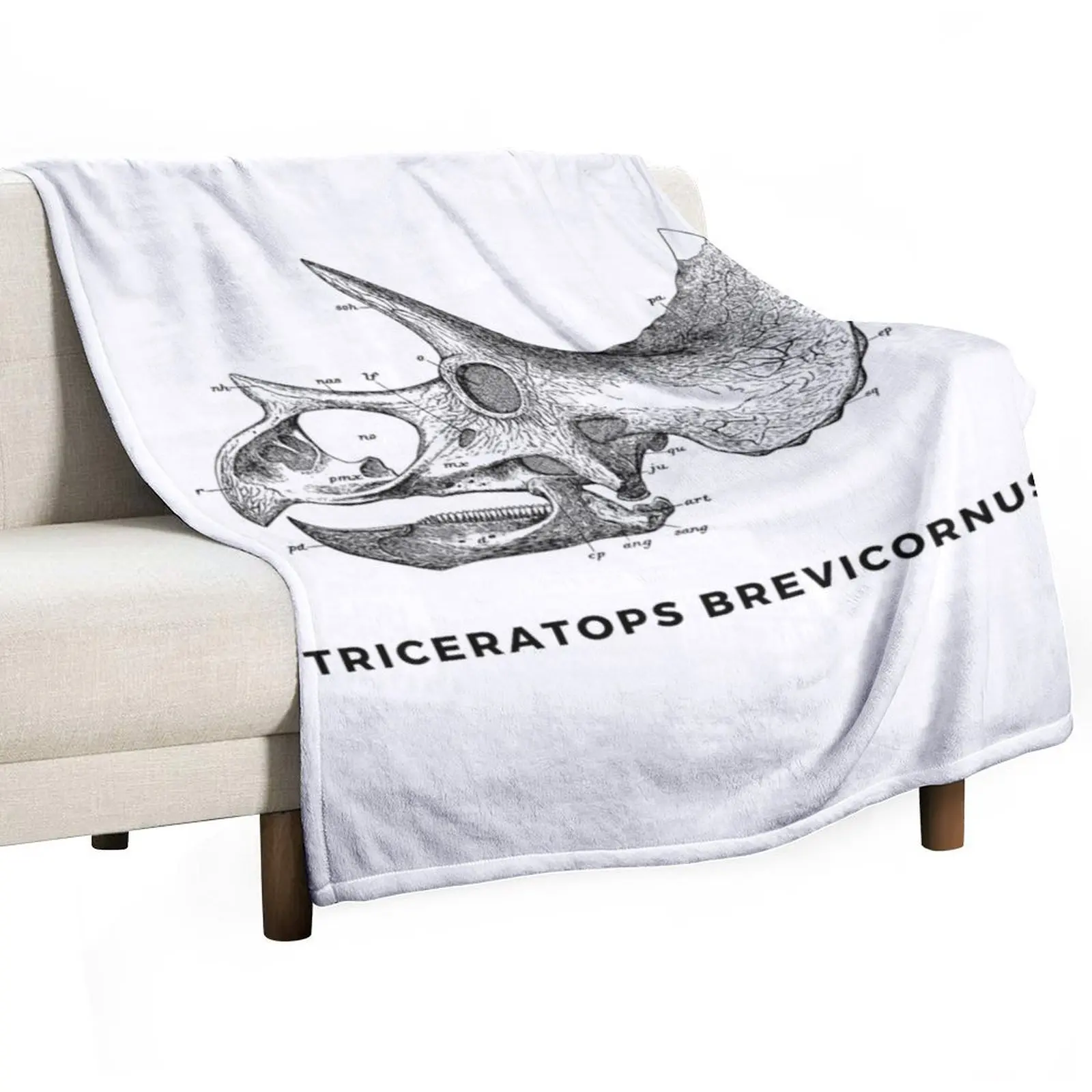 Triceratops Brevicornus Skull - Late Cretaceous Period Ceratopsid Throw Blanket anime Soft Soft Big Hairys Blankets