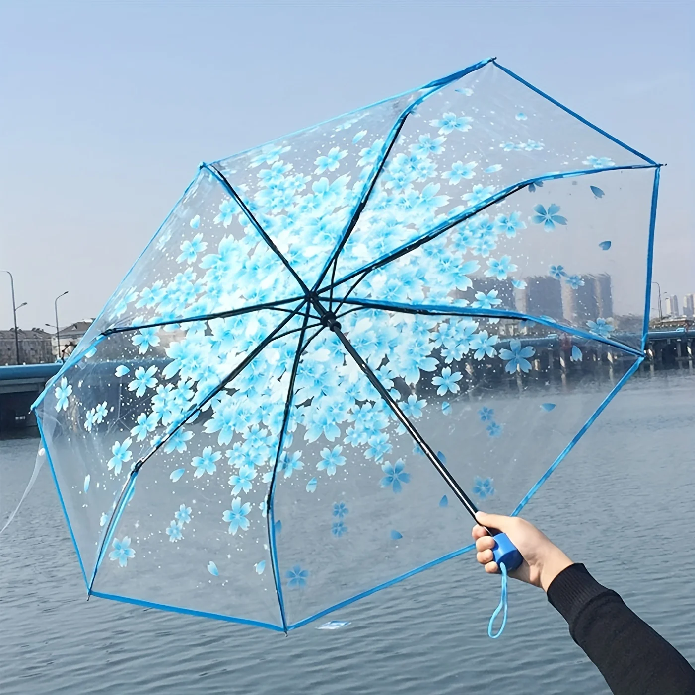 Transparent Umbrella Umbrella Folding Sun Art Fresh and Cute High Beauty Manual Umbrella Transparent Romantic Umbrella