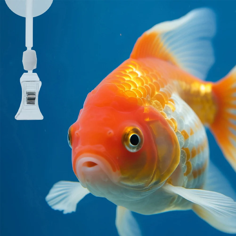 

4Pcs Aquarium Suction Cup Clips Fish Tank Feeding Clamp Seaweed Clip Glass Fish Food Holder Small Suction Cups