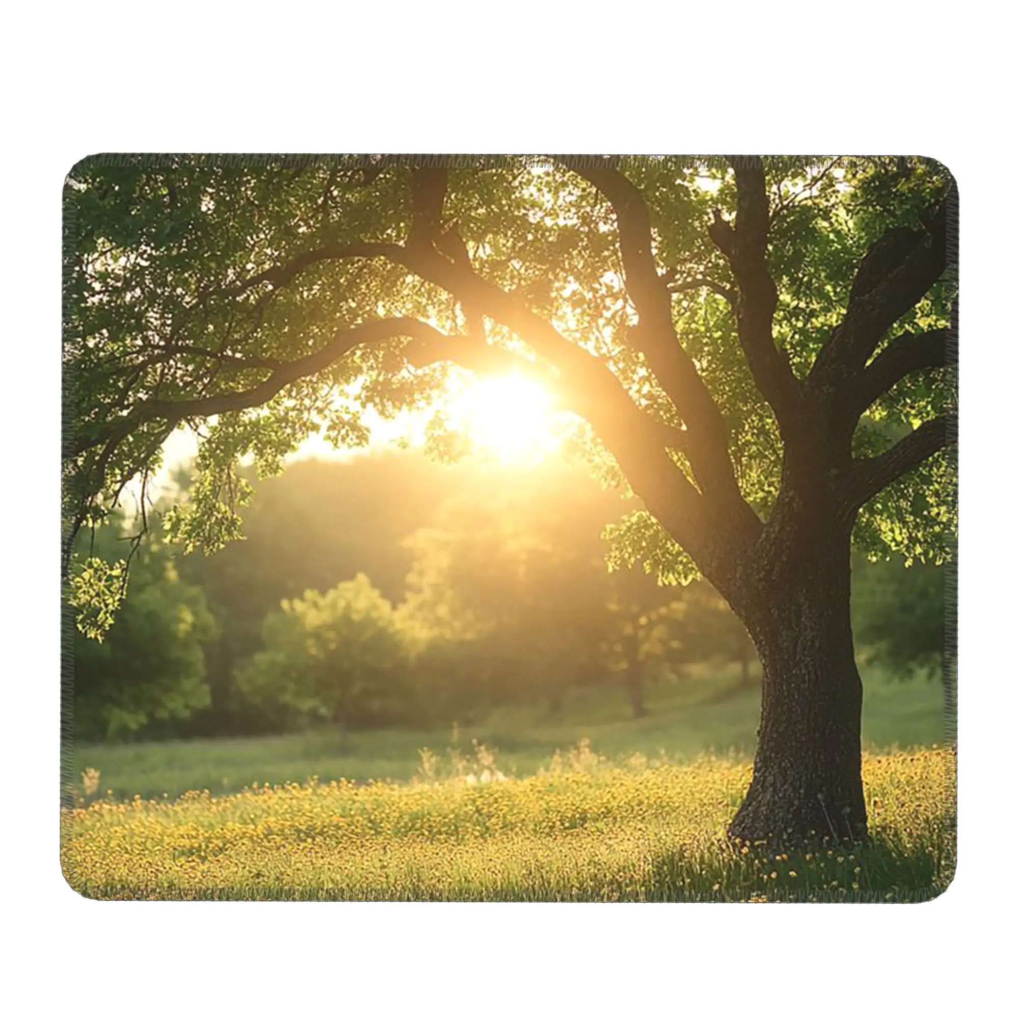 Forest Sunlight And Tree Light Shadow Mouse Pad Computer Keyboard Mouse Mat Gaming Laptop Desk Mat Office Accessories Table Mats