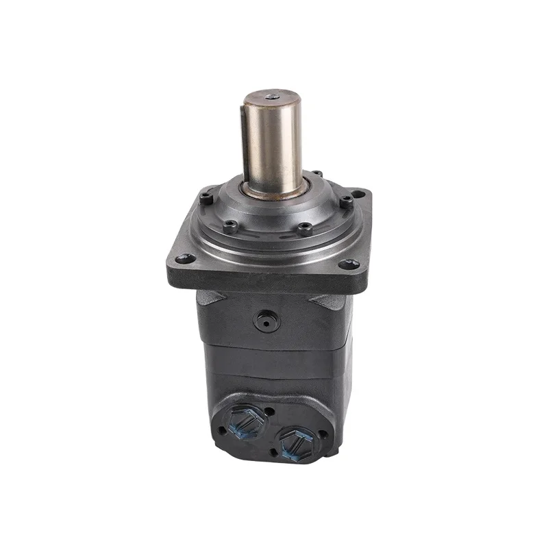 

Low Speed High Torque Orbital Hydraulic Motor OMT/BMT Cycloid Motor 160cc 200cc 250cc 315cc 400cc 500cc