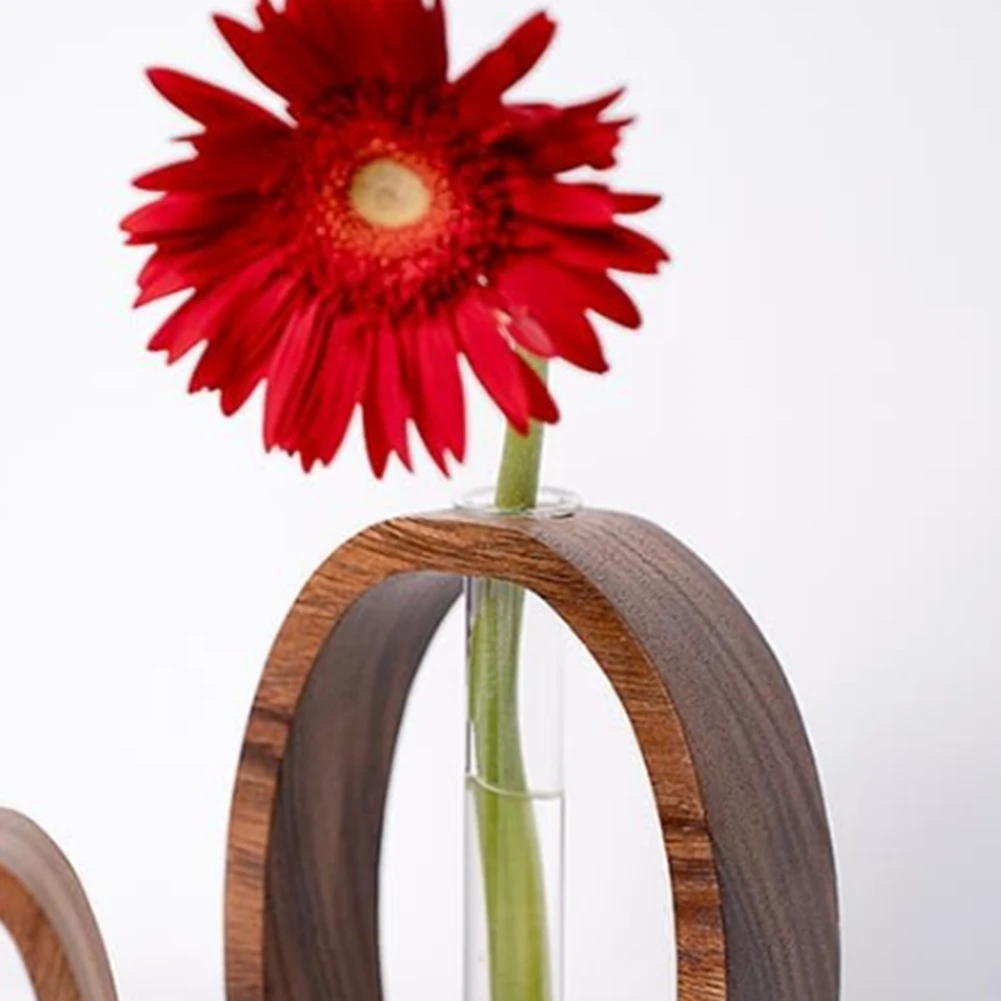 NOCM Solid Wood Frame Glass Test Tube Vase Desk Hydroponic Plant, Enhances Home and Environment