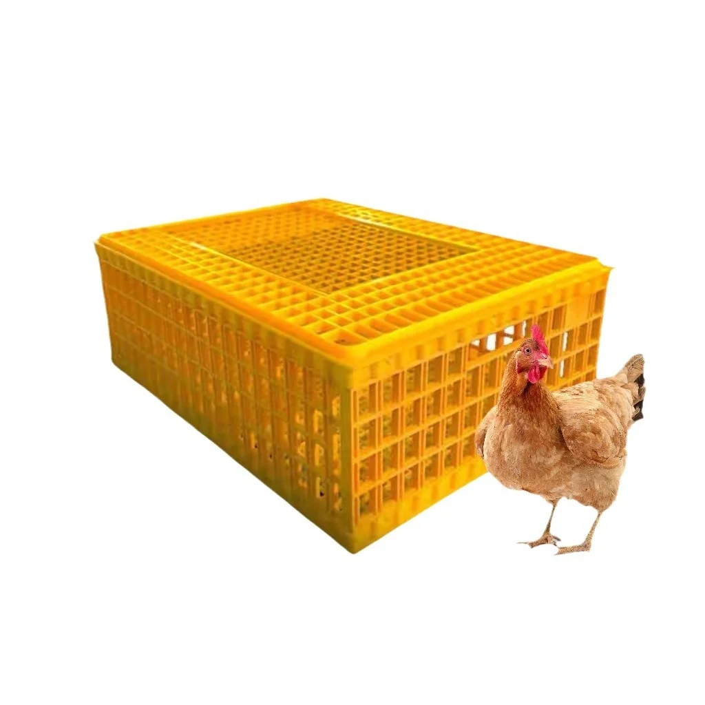 

Wholesale Thickened New Plastic Turnover Basket Poultry Transport Cage for Chicken Duck Goose Breeding