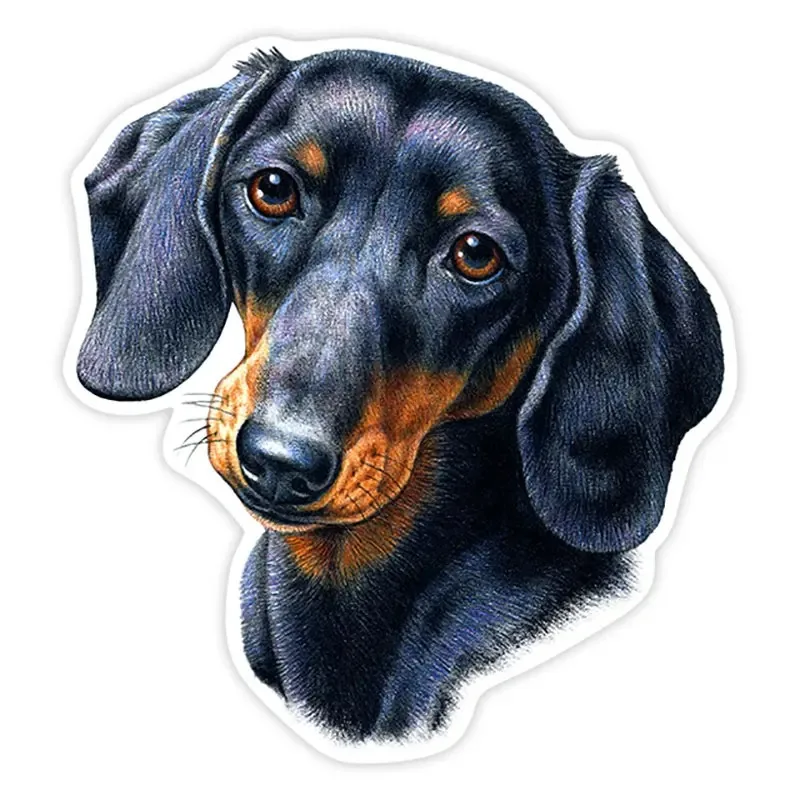 Various Sizes Self-adhesive Decal Dachshund Dog Car Sticker Waterproof Auto Decors on Bumper Rear Window 10/13/17/20CM PVC