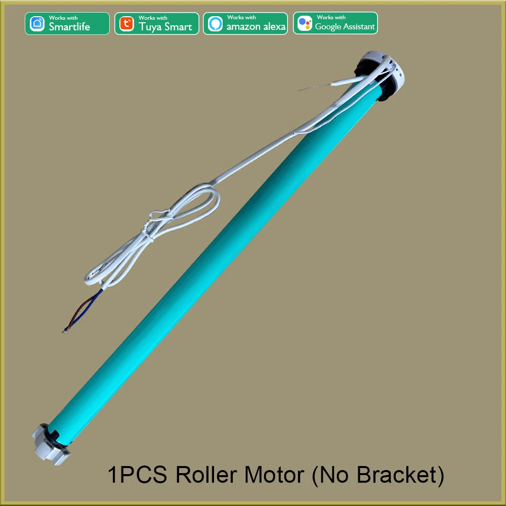 One Motor No Bracket