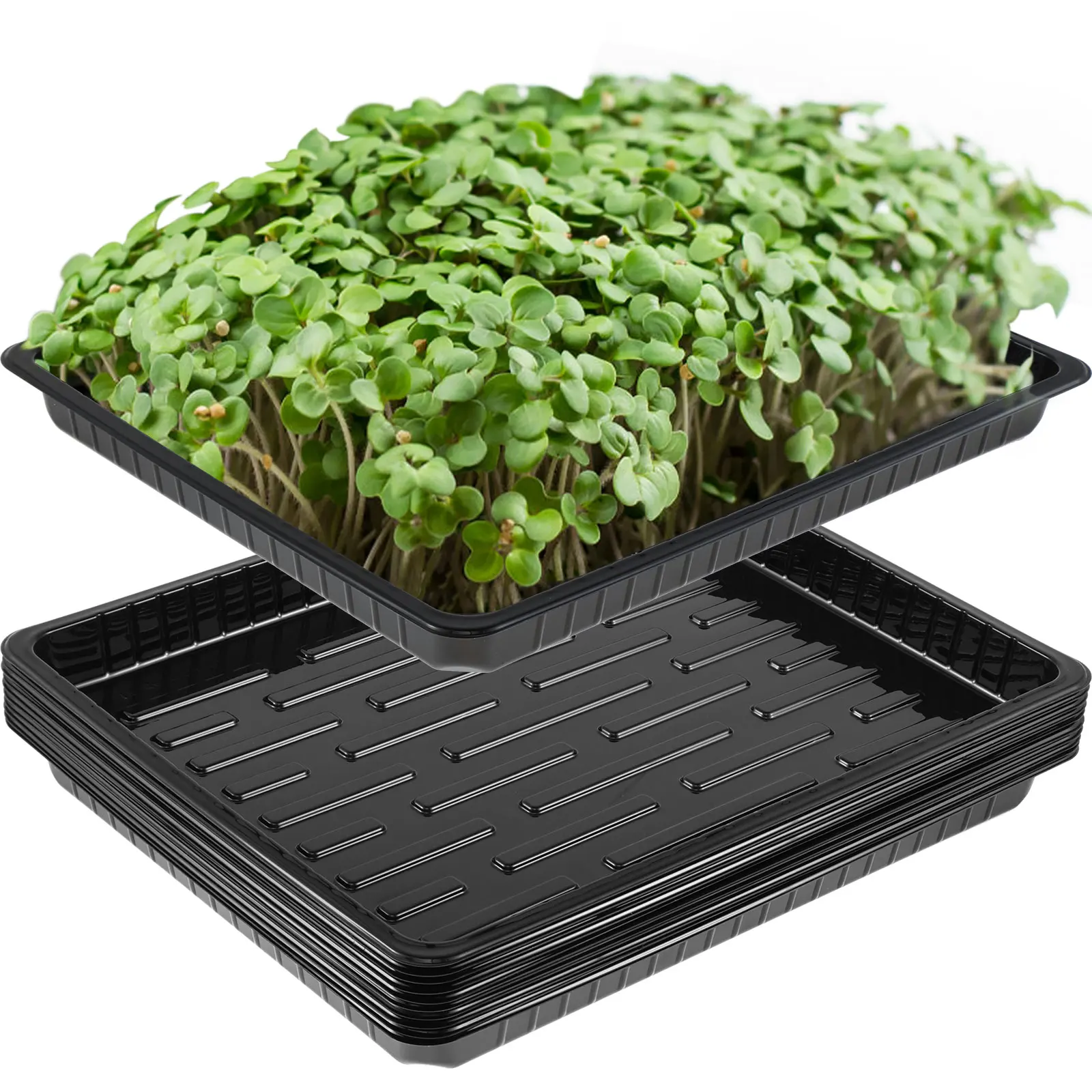 

10Pcs Plastic Growing Trays No Holes Seed Propagation Tray Durable Nursery Seedling Trays Reusable Seed Germination Trays