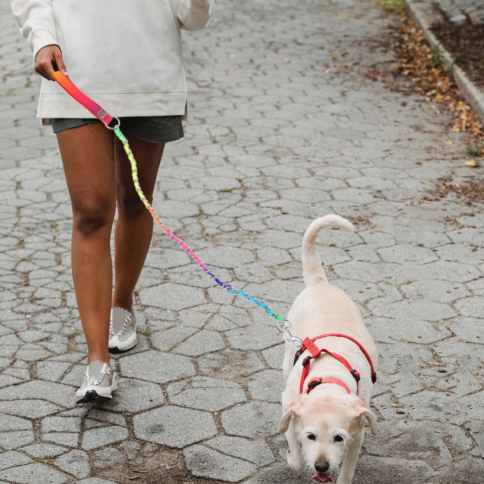 

Portable Dog Leash Large Size Wear resistant Foam H Sturdy Chain Pet Accessory Bite Resistant Puppy Leash Outdoor Training