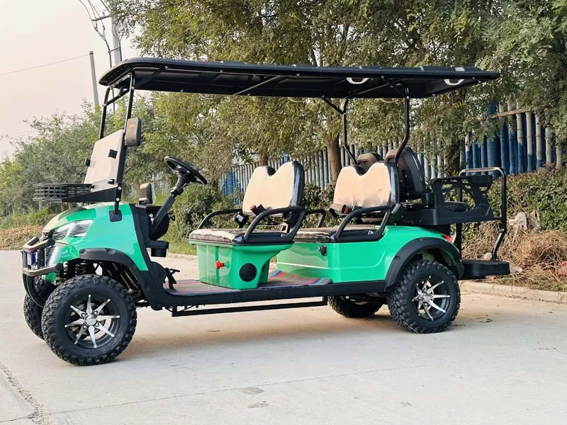 سيارات البيع المباشر من المصنع عربات الجولف الكهربائية المخصصة #2