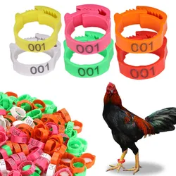 50/100PCS Adjustable Chichken Bird Leg Rings Numbered Identification Bands Poultry Foot Label Chicks Turkey Animal Monochrome