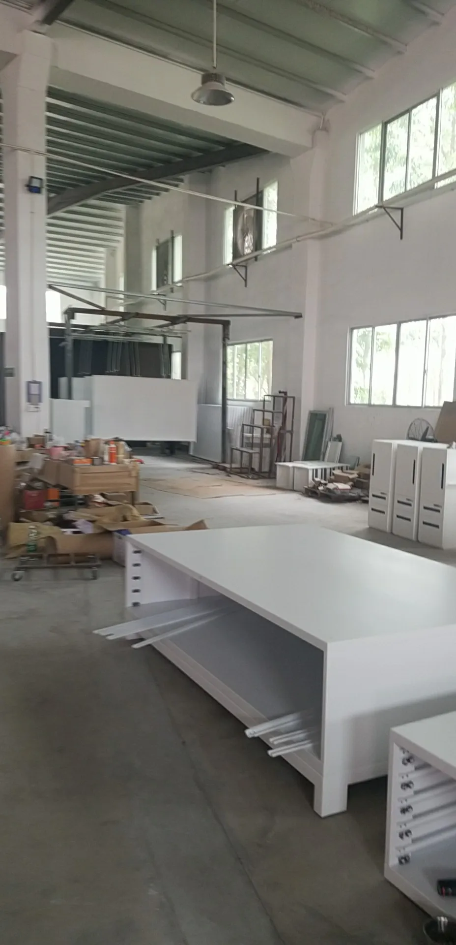 Insect herbarium cabinet museum calligraphy and painting cabinet drawing collection cabinet oil painting      specimen