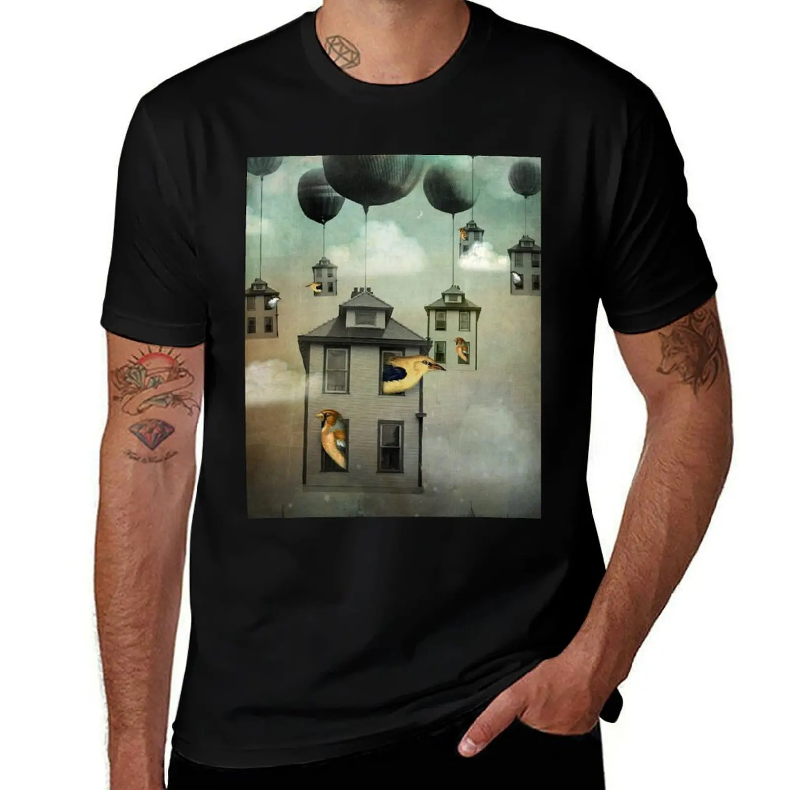 

shirt mens T-Shirt t shirts graphic 2 man Birdhouse t graphic