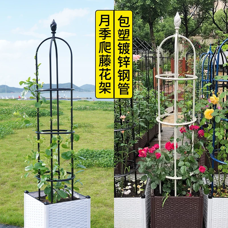 

Rose flower stand Climbing vine stand Rose clematis flower pot stand Balcony Outdoor climbing Plant shelf Rod Support rod