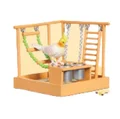 Parrot 2
