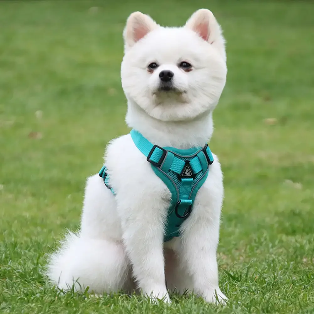 Conjuntos Refletivos de Arnês e Trela para Cães e Gatos, Malha Respirável, Pet Harnesses, Cães Pequenos, Acessórios Gatinho, Chat, Moda