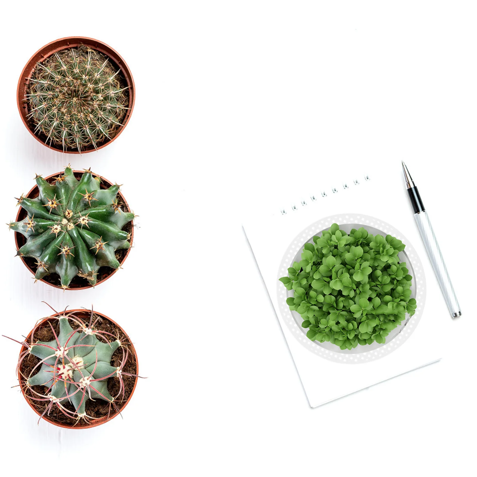 

15Pcs Round Grid Sheets Plastic Durable Mesh Pads Multifunctional Coasters Flower Pot Bottom Nets DIY Crafts Making Accessories