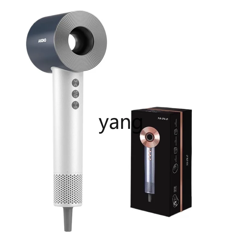 L'm'm Household Anion Hair Care High-Speed Quick-Drying High-Power Female Men's Special Hair Dryer