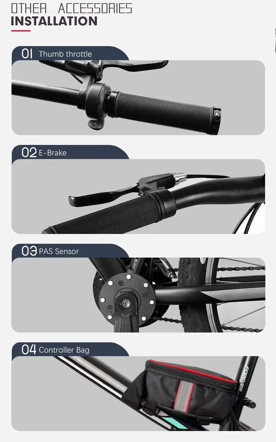 Display Screen Parameters and Speedometer Readout