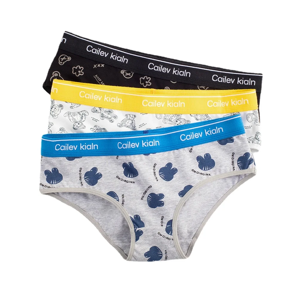 HaleyChan Women's 1Pc Cotton Cartoon Panties Briefs Trans Lesbian Tomboy Transgender Lingerie Underwear Women Boxers for Women