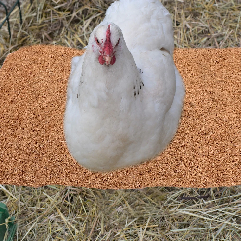 

4 Pcs Chicken Nesting Pads for Laying Eggs Natural Rugs Cushions Coir Coconut Fiber Accessories Coop
