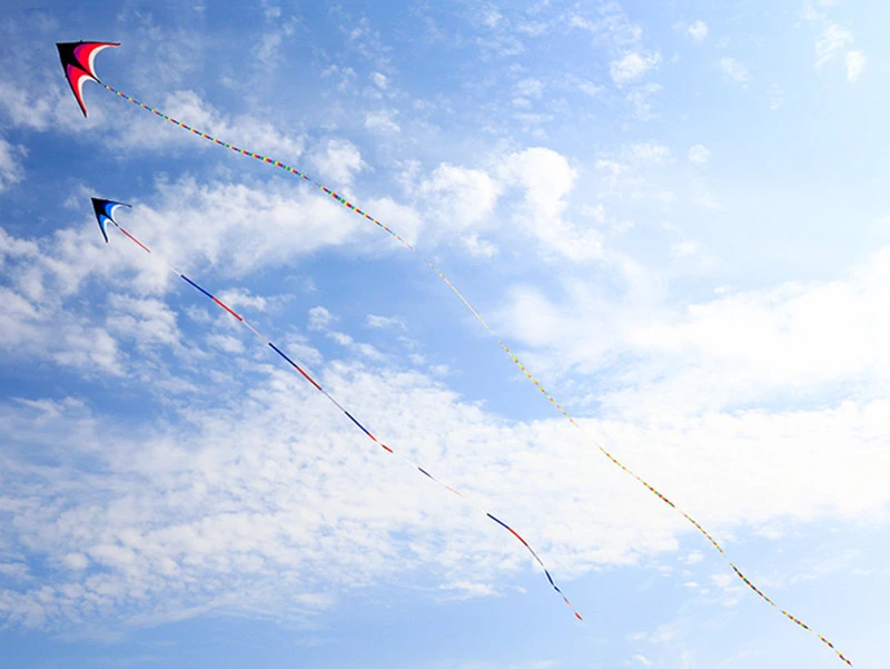 จัดส่งฟรีขนาดใหญ่KiteหางFlying Kite Windsocks Kites Rainbow Tail Kiteสําหรับเด็กTwist Flyลมถุงเท้าธงProfessional Kite