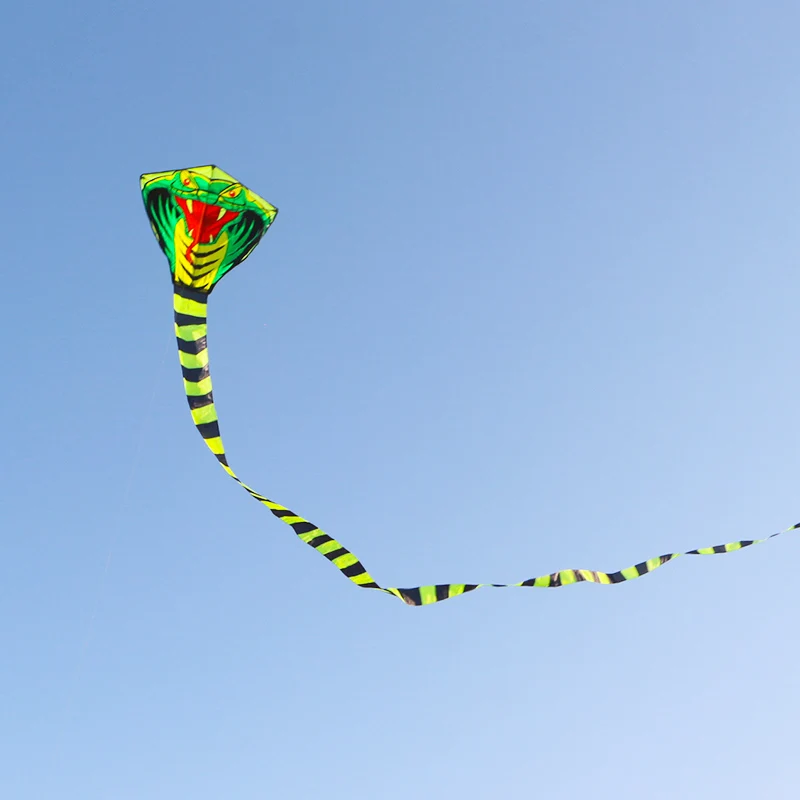 Diversión al aire libre, cometa de serpiente grande, pipa de Cobra, línea voladora, juguetes al aire libre para adultos, cometas de pájaros, cometa de águila, Animal Wei Kite Factory koi