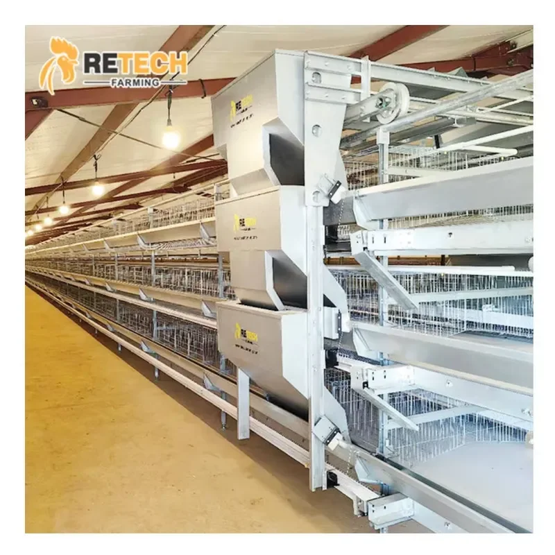 Hot Dip Galvanized Steel Automatic Chicken Feeding Line for Poultry Farming Equipment H Type Layer Battery Poultry Cage