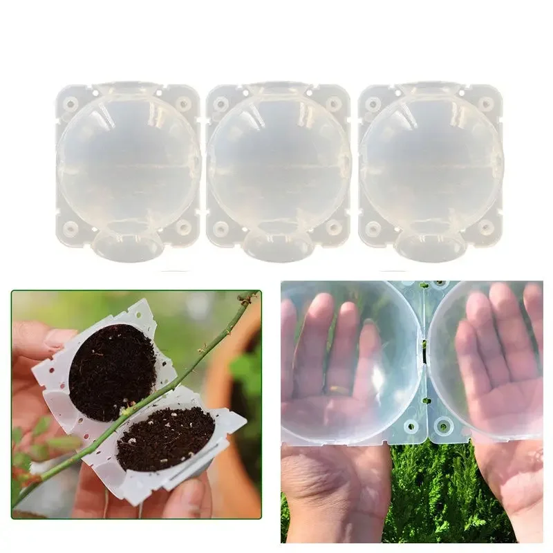 

Набор из 5 штук: Контейнеры для укоренения растений, корзины для рассады, коробки для прививки, аксессуары для сада, шары для размножения растений, коробки для укоренения.