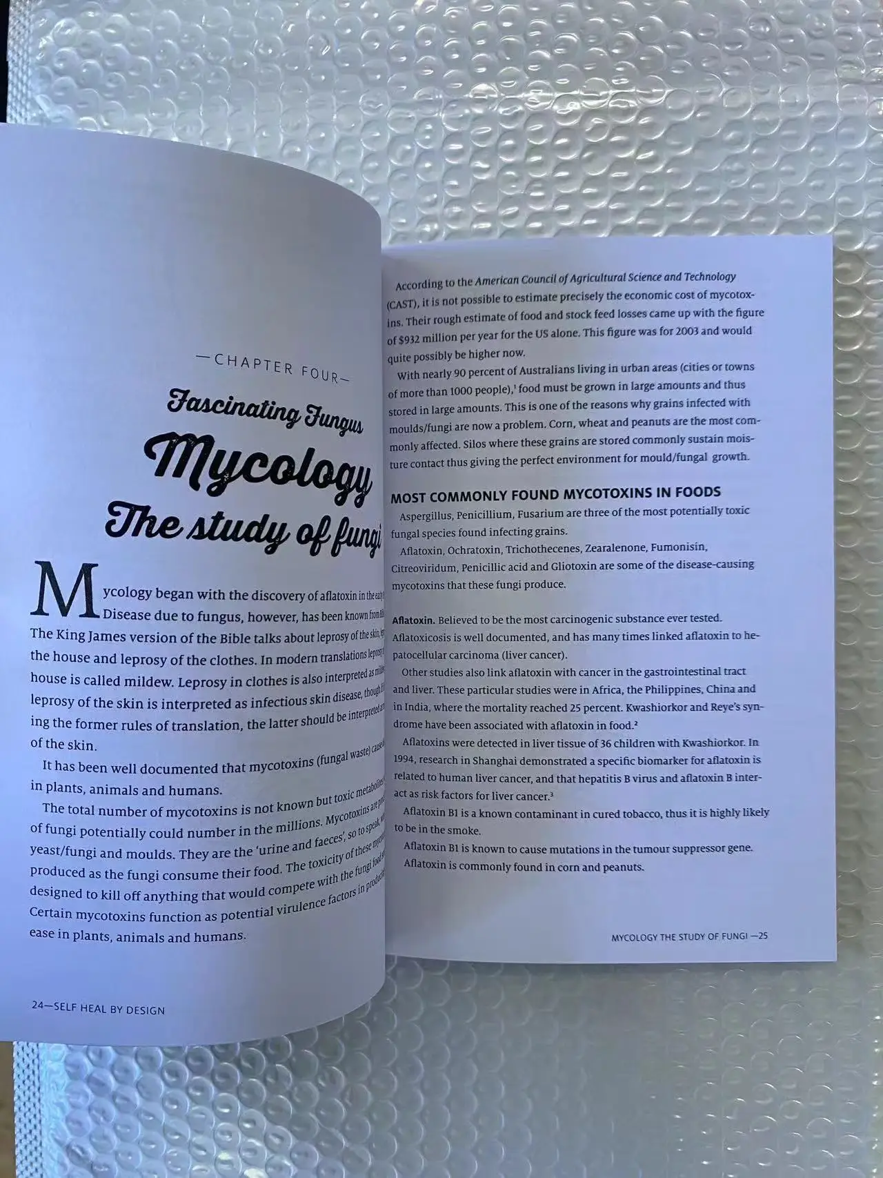 Auto-cura pelo design - O papel dos microorganismos para a saúde de Barbara O'Neill