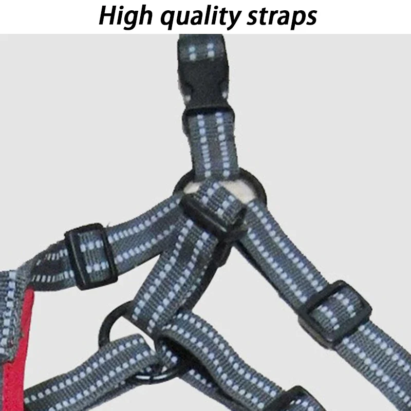 Thumbnail 4 - #39 Best Dog Boots to Buy In 2026