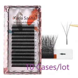 Maria 10 Fälle 3d w Private Label Großhandel russische Wimpern Cluster einfach Fan Volumen Wimpern Erweiterung y Mix falsche Nerz Make-up