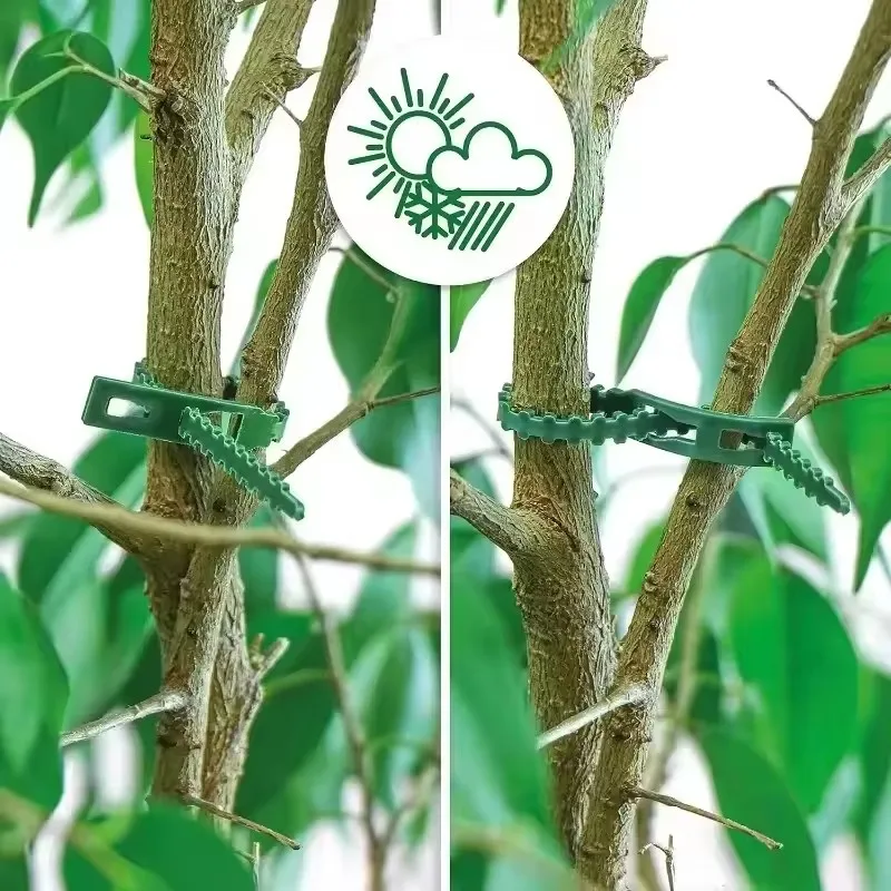 Adjustable Plant Cable Ties Garden Reusable Self-locking Ties Plant Vine Shrubs Supports Fastener Tomato Stem Zipper Cables Ties