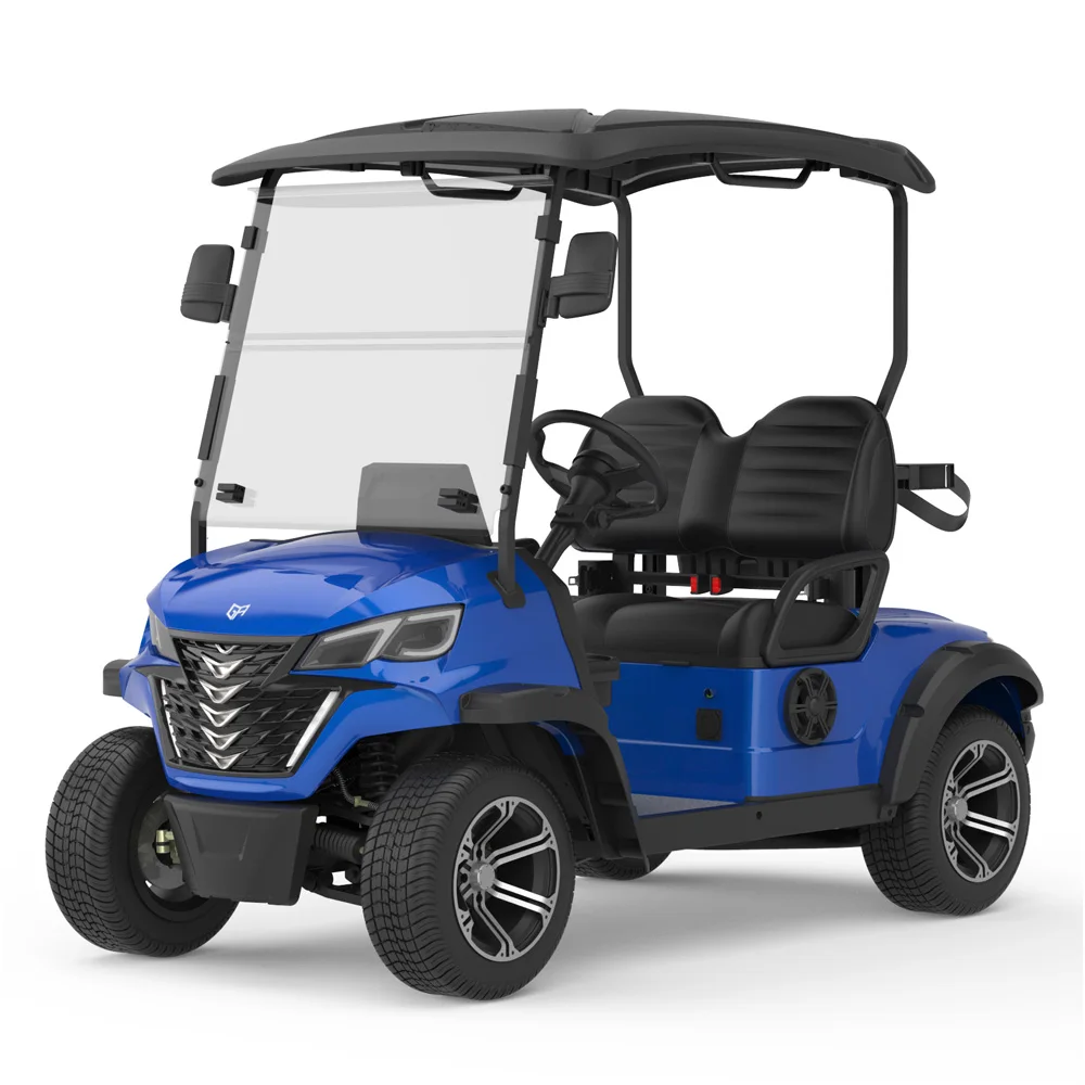 New Arrival Style Electric Golf Cart 2 Passengers High Quality Golf Buggy Customized Motor Vehicle Lithium Battery Golf Carts