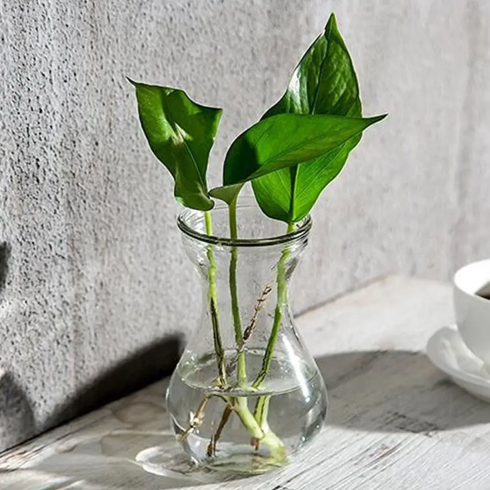 3Pcs Premium Glass Flower Vase Set for Hydroponic Arrangement Home Office Decor Desktop Floral Display Creative Vase Decoration