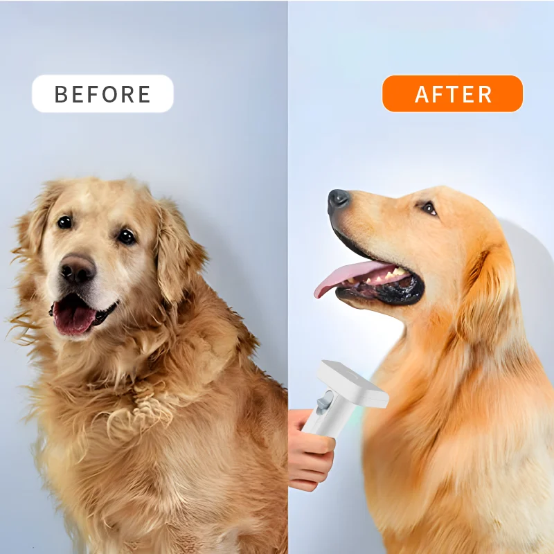 مصنع منتجات الحيوانات الأليفة المورد بالجملة فرشاة إزالة شعر القط فراغ منخفضة الضوضاء الكلب الحيوانات الأليفة التهيأ مكنسة كهربائية كيت #6