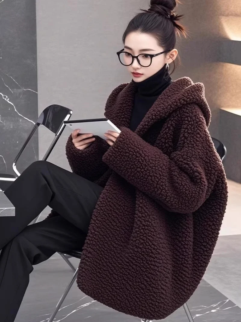 Chic Korean Winter Jacket - Soft Lamb Wool Fleece Coat, Warm Brown Short Outerwear for Women, Elegant and Cozy w2375