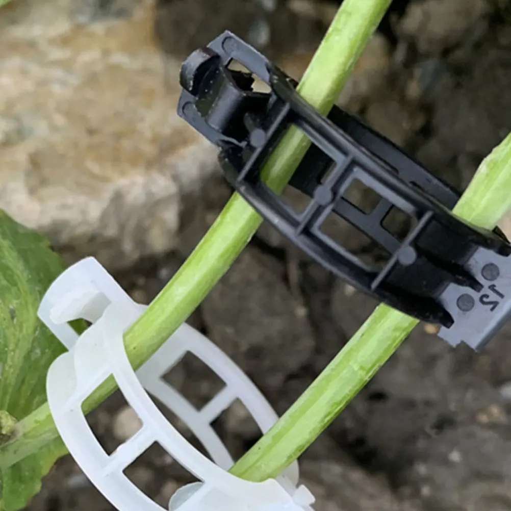 

50pcs Plant Clips Vine Clamps Garden Support Sturdy PP Material Lightweight Strong Durable Stem Holders Fruit