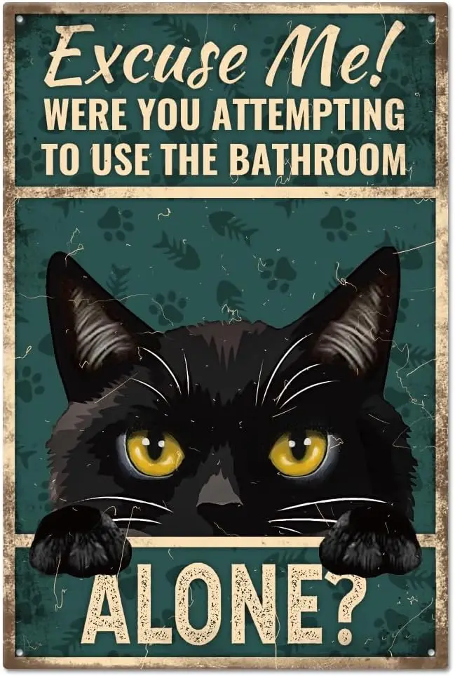 K1, Funny Black Cat… - image