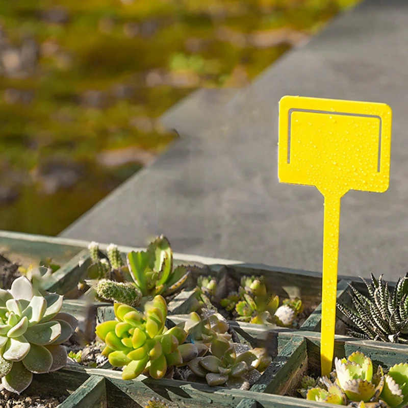 Field-Shaped 100Pcs Plastic Gardening Labels Succulent Labels Potted Plant Labels