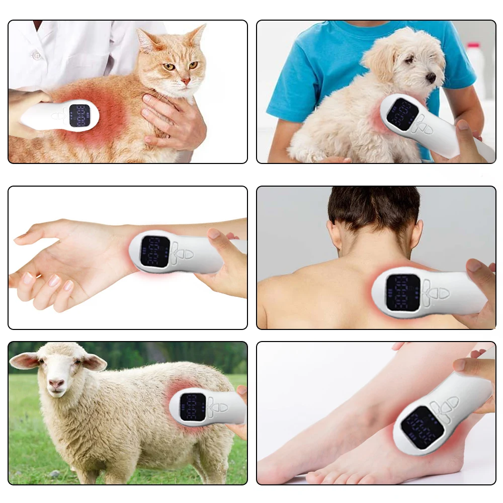 HLKGO 650nm 808nm Laser Light Therapy Humans Back Laser Joint Therapy for Dogs Cats Horses Cluster Laser Therapy Machine Handhel