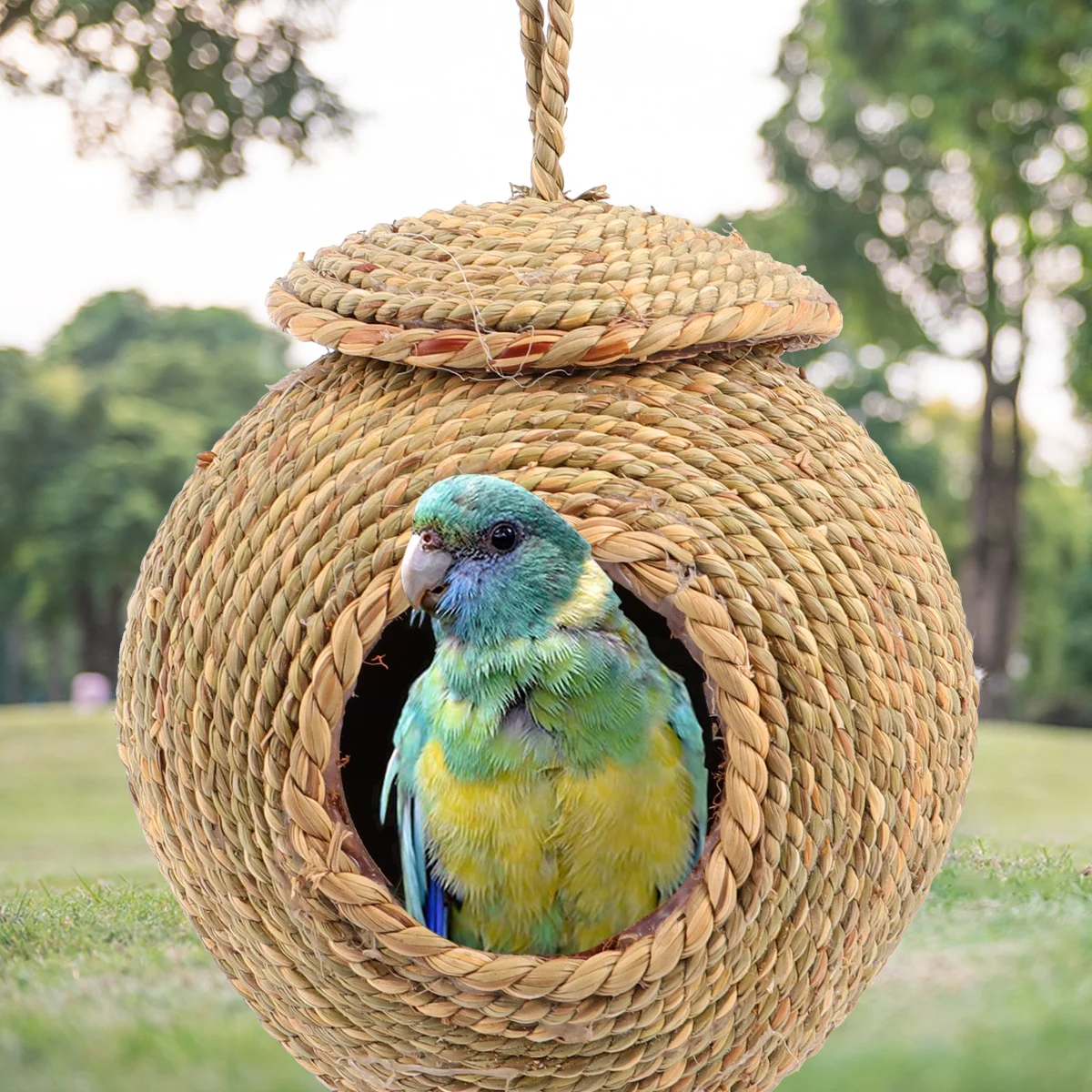 

1pc Grass Rope Woven Nest Dark Green Durable Breathable Hanging Cave For Parrot Hamster Squirrel Pet Shelter Indoor Outdoor