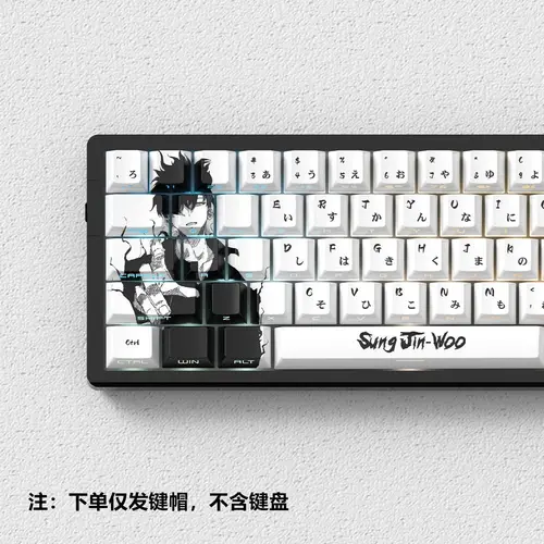 Nivelación Solo de 74 teclas: teclas translúcidas ARISE, teclas con estampado lateral de Anime, PBT Dye-Sub Cherry para teclado mecánico Wooting 60 68
