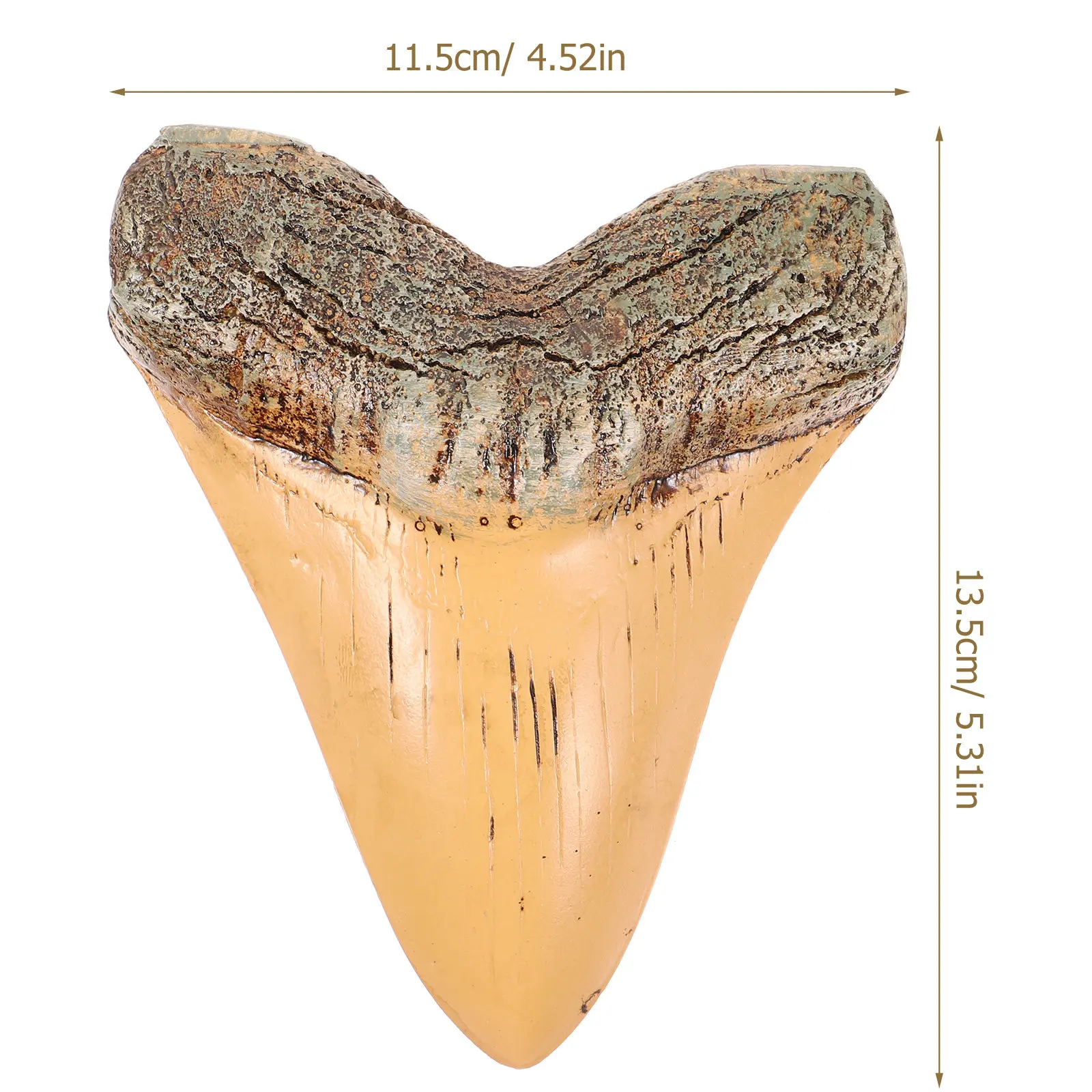 Prehistoric Shark Mini Resin Sharks Statue Decor Memorabilia Tooth Figurine