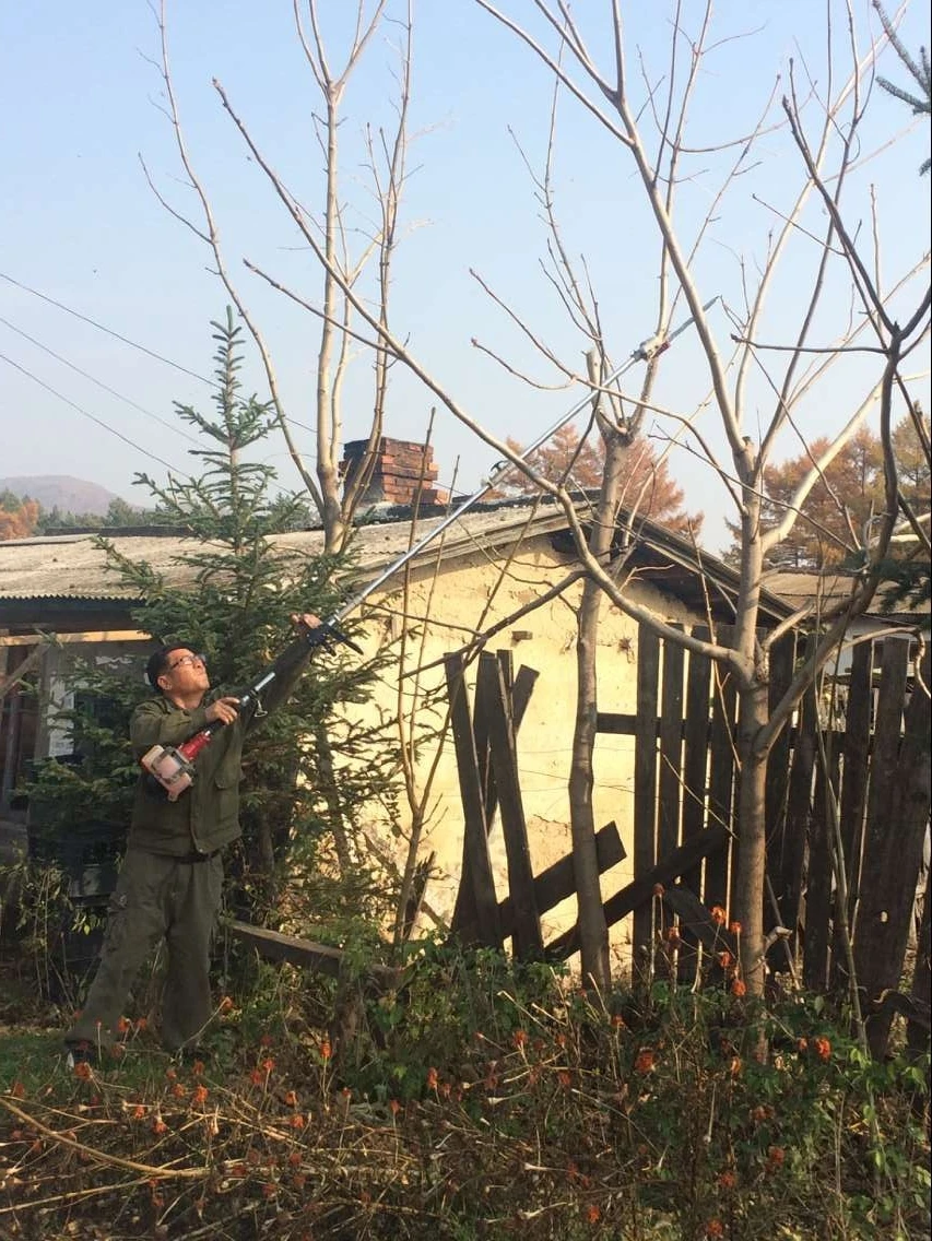 Tijeras de podar de gran altitud Tijeras de podar de ramas altas de 1-6 metros que llevan sierras de ramas altas