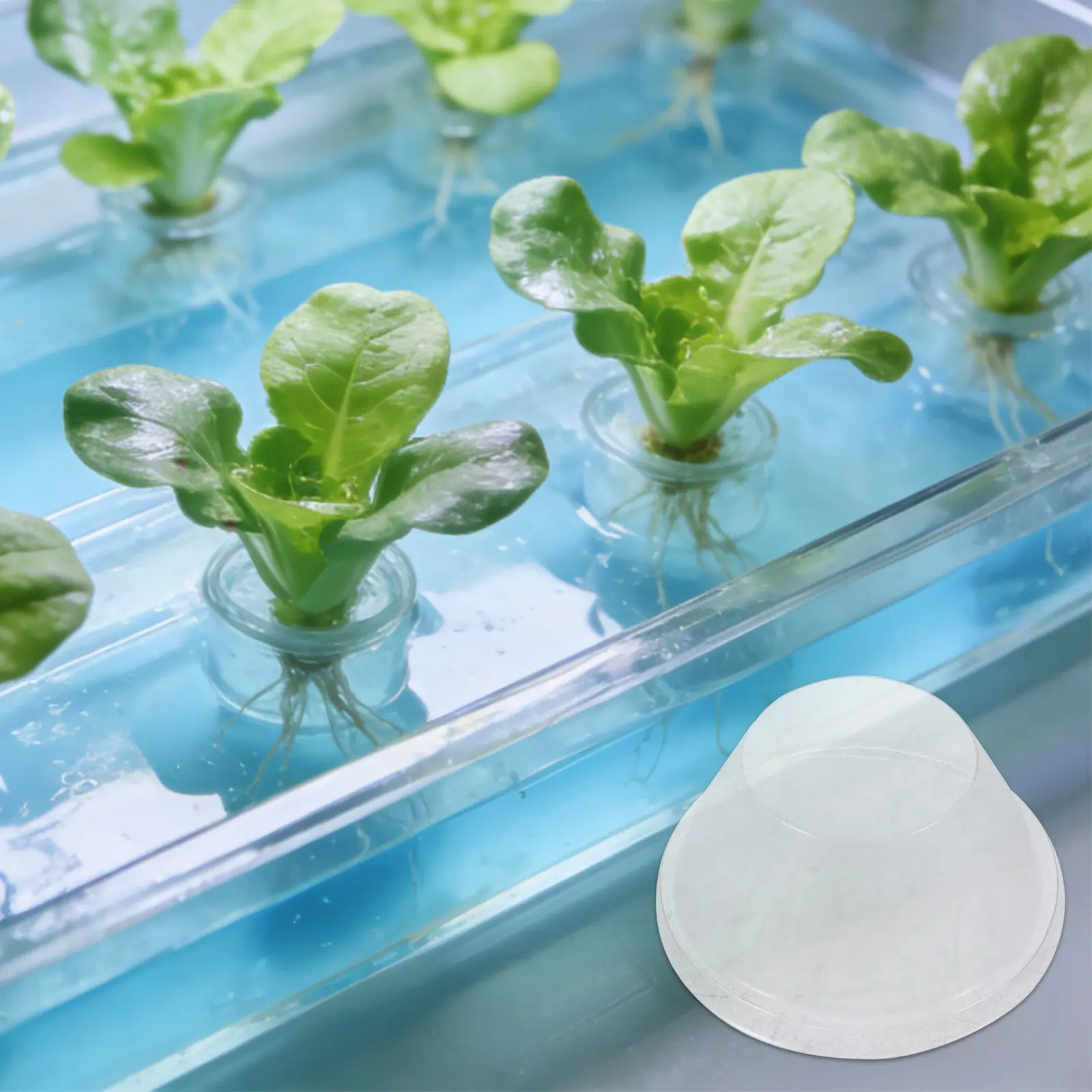 

200 шт. Прозрачные мини-теплицы-купола для рассады, прозрачные крышки для горшков, контроль влажности, защита от заморозков, для гидропоники