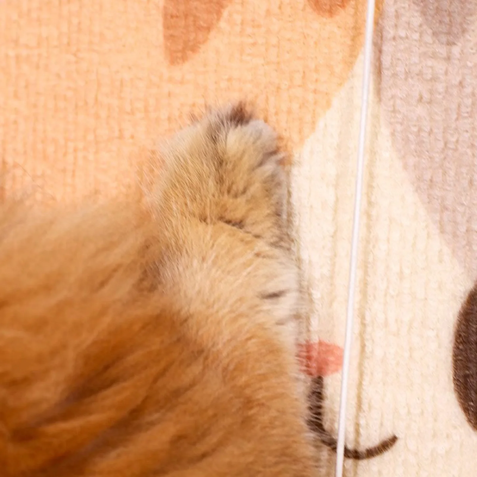 

Wall Mounted Scratchers Cartoon Cat Pattern Felt Cat Scratch Board Cat Nail Polishing Tools Household Pet Supplies 50x80cm