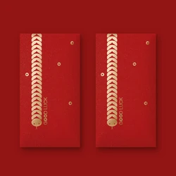 10Pcs Snake Year Red Envelope Personalized Red Bag 9x17cm Can Customize 2025 Red Pocket Chinese New Year Supplies
