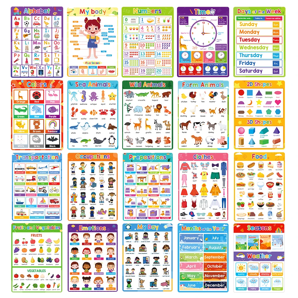 Children\'s Learning English Chart Fruit/ Color/ Animal/ Body Part /Number and Letter Big Card A4 Poster Classroom Decora for kid