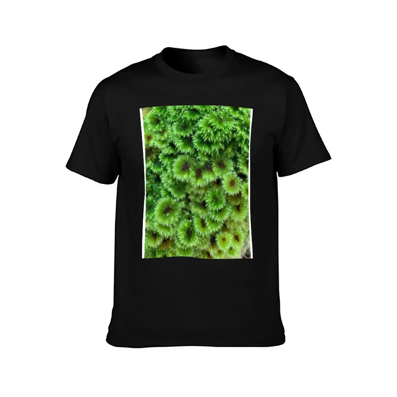 مظلة موس تي شيرت قطن تي شيرت رجل جرافيك تي شيرت تي شيرت رجل عادية تي شيرت