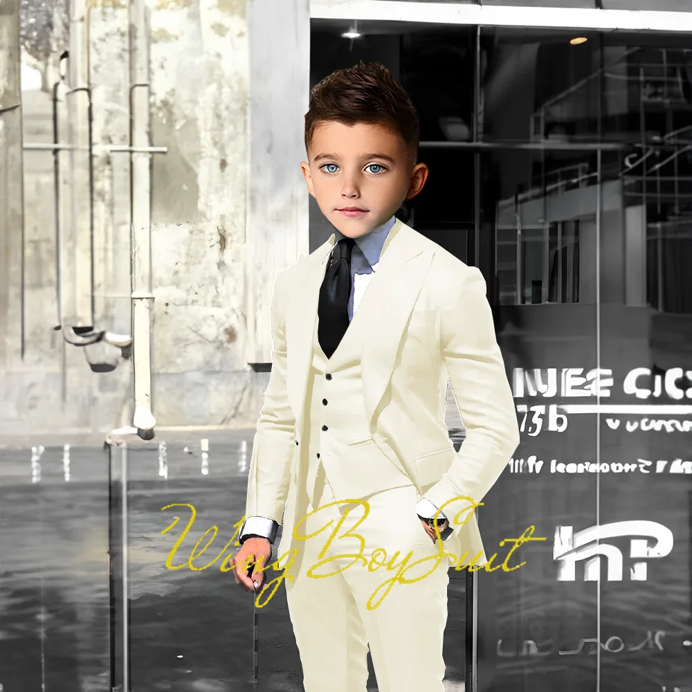 Best Selling Boys Suit Business Jacket Pants Vest 3 Piece Set Wedding Kids Tuxedo Little Gentleman Blazer